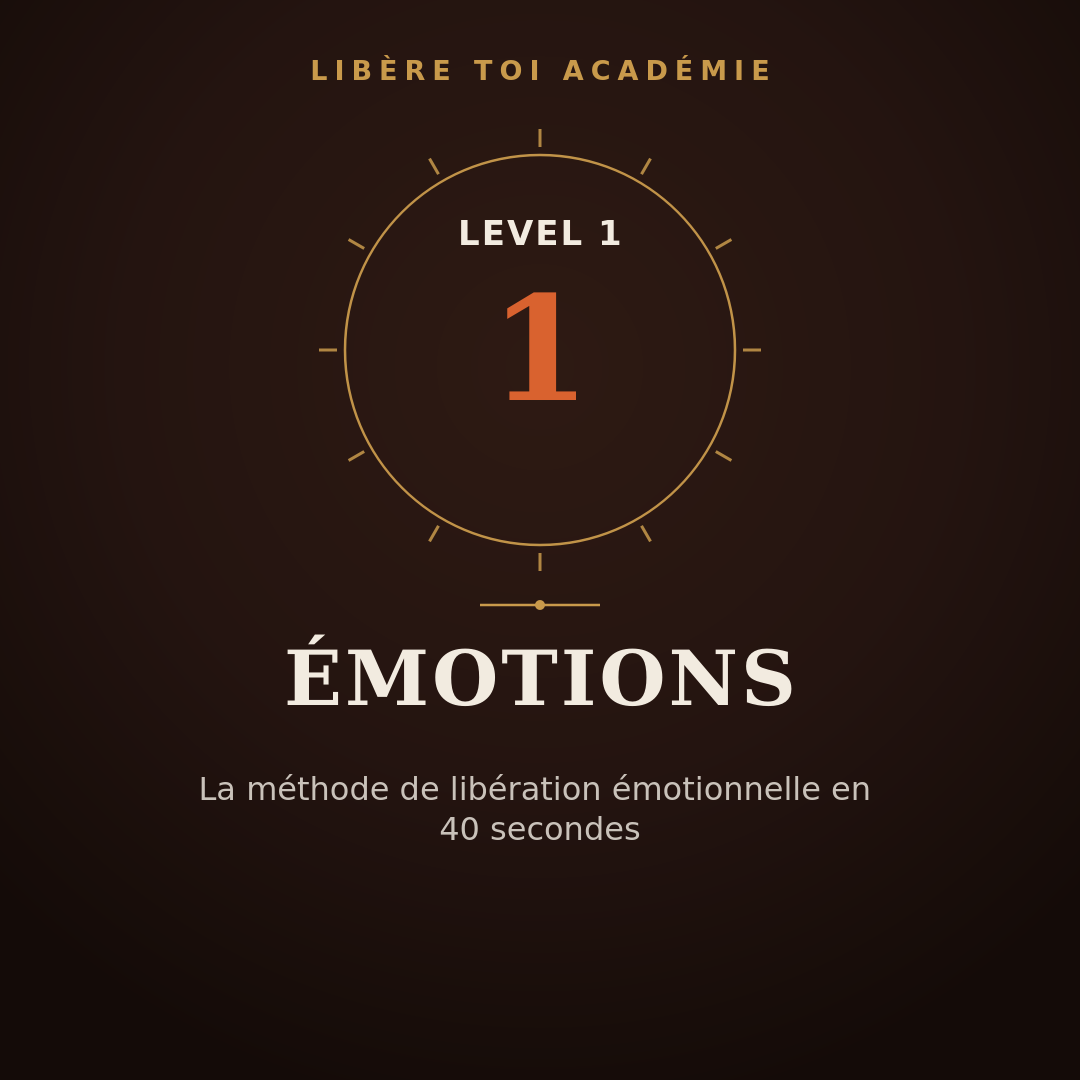 Level 1 - &Eacute;motions