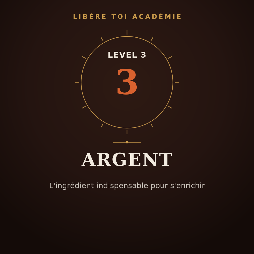 Level 3 - Argent