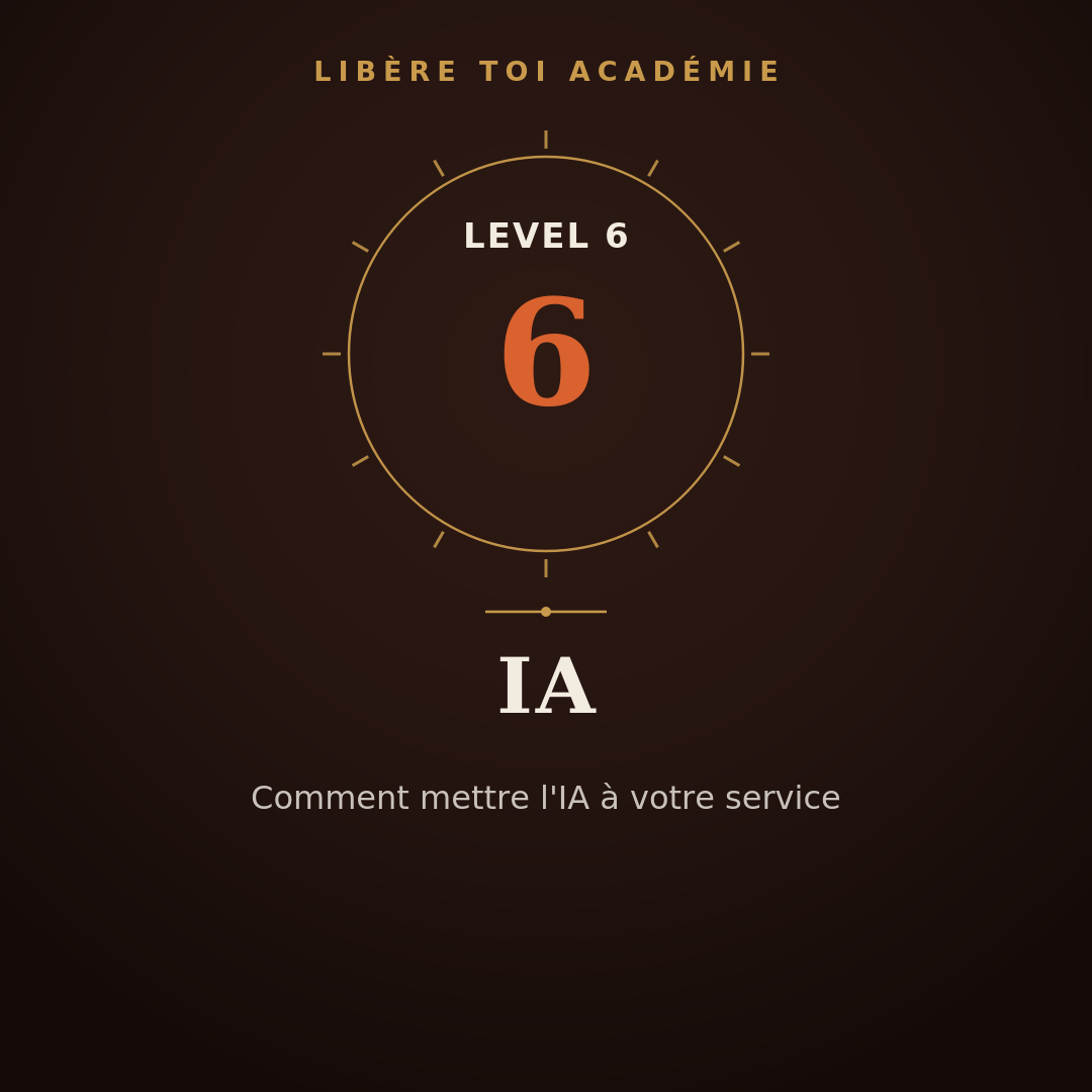Level 6 - IA